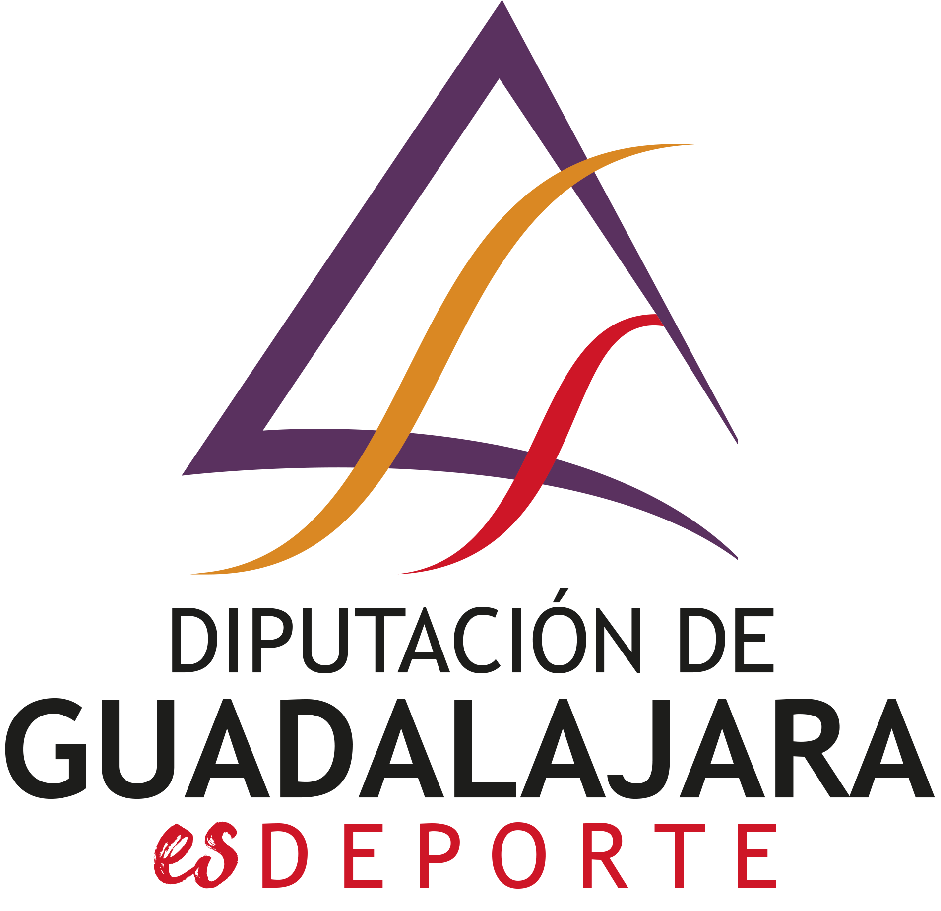 logo dipu
